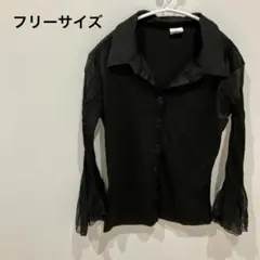 レア✨️長袖【フリーサイズ】長袖シャツ 黒 きれいめ おしゃれ ブラウス トップス