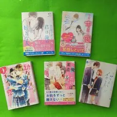 小説　野いちご文庫　まとめ売り