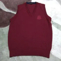TURNBERRY ワインレッド Vネックベスト L