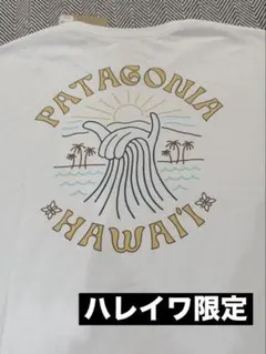 【新品】◼︎新作◼︎限定品◼︎ハワイ パタゴニア ハレイワ限定 Mサイズのサムネイル