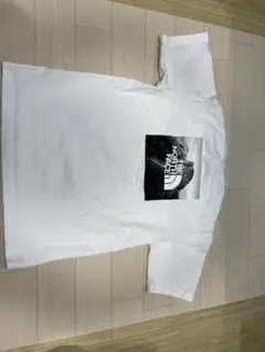THE NORTH FACE Tシャツ M ピクチャード スクエアNT32036