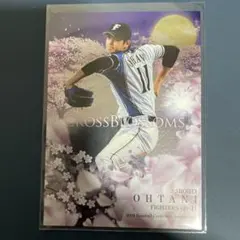 2026年最新】大谷翔平 カード 日ハムの人気アイテム - メルカリ