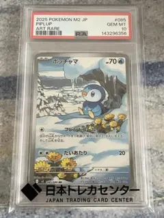 2026年最新】ポッチャマpsa10の人気アイテム - メルカリ