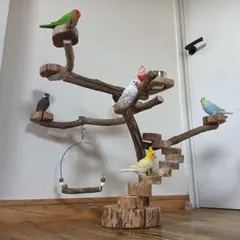 Item thumbnail for item 9baaba73-cdf6-46b4-bf18-0c9268e76fa5