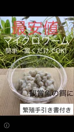 暗所に置くだけでどんどん増える　マイクロワーム　ADA ひかり　キョーリン