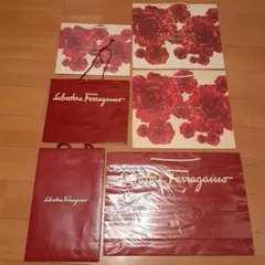 最終セール❗Salvatore Ferragamo ANNA MOLINARI