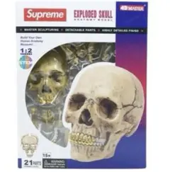 【新品未開封】SUPREME 4D MODEL HUMAN SKULLのサムネイル