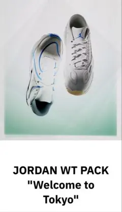 【バラ売り】NIKE JORDAN WT PACK Jordan11のサムネイル