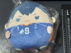 ハイキュー‼︎ くじメイト　ぬいくじ　Ｃ賞　影山飛雄