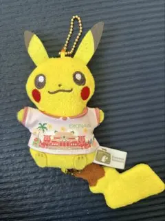 2026年最新】ご当地 ピカチュウ ストラップの人気アイテム - メルカリ