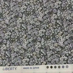 リバティ　チャイブ　グリーン　紫　グレー　黒