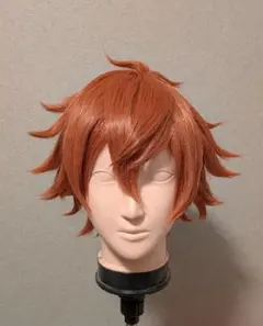 2026年最新】ツイステ コスプレ ウィッグの人気アイテム - メルカリ