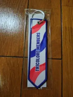 横浜F・マリノス TRICOLORE MEMBERS キーホルダー