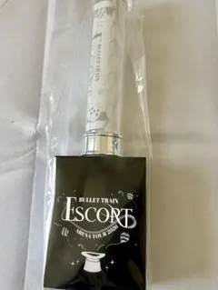 超特急 リョウガ ESCORT ペンライト 新品未開封 - メルカリ