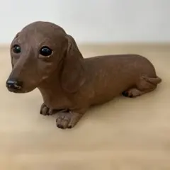 2025年最新】sandicastの人気アイテム - メルカリ