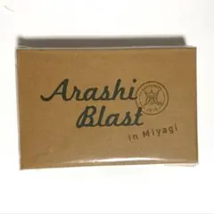 【新品未使用】嵐 Blast in Miyagi カトラリーセット
