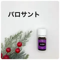 業務用1000g】ペルー産パロサントスティック 香木 浄化 PaloSanto