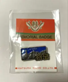 Item thumbnail for item f0bf43cd-55dc-4658-963b-4a728e05505a