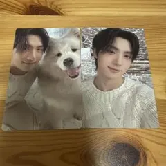 ヨンジェ トレカ