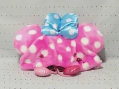 未使用 パルパルーザ ミニーのファンダーランド ファンキャップ ディズニーランド