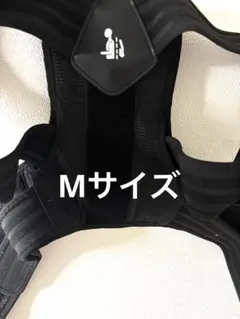 Item thumbnail for item d99d7c77-4418-47f8-80d6-1d68bd7e248a