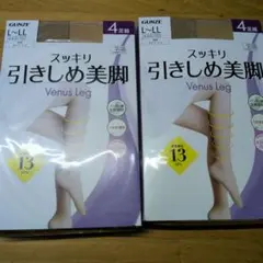 GUANZE Venus Leg L-LL 4足組×2つセット　ヌードベージュ