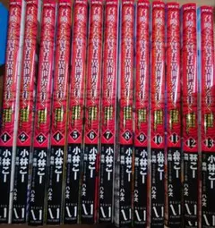 裁断済み全巻　召喚された賢者は異世界を往く　14巻