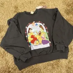 新品　リトシー　ディズニープリンセス　長袖　トレーナー　裏毛　綿100 120