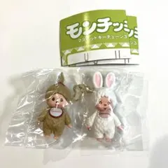 Item thumbnail for item 712ce8d5-ad41-43bb-aa8f-e9363f9ce4ff