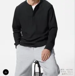 ワッフルヘンリーネック