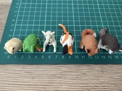 動物フィギュア 6体セット カプセルトイ