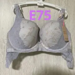 夢みるブラ　E75 パープル　ドリーミーポインセチア　アモスタイル