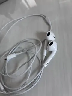 【25年12月購入】Apple純正ライトニング　有線イヤホン