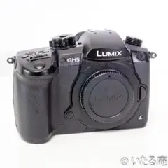 ジャンク】 Panasonic DC-GH5 LUMIX ミラーレス一眼レフ - メルカリ