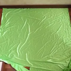 Item thumbnail for item 0a7d928d-8c31-4401-bc2d-ab1ee5f69c89