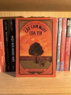 Cây Cam Ngọt Của Tôi