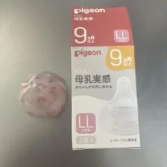 Item thumbnail for item 1706ab61-85c1-46ea-9ede-c2990bc678fe