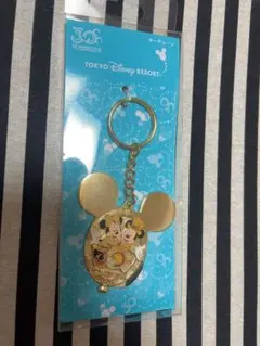 TOKYO ディズニーリゾート　30周年限定 キーチェーン　未開封