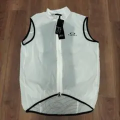 Item thumbnail for item 496d77db-cb03-41db-b973-784b001837c1