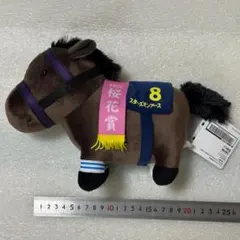 【良品☆ファン必見】サラブレッドコレクション OK スターズオンアース