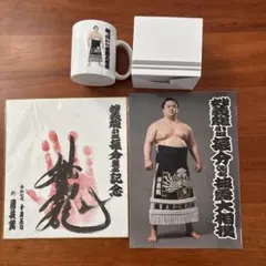 妙義龍　パンフレット　マグカップ　サイン　セット
