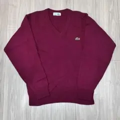 【希少】 LACOSTE Vネック セーター