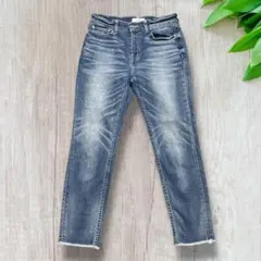 Healthy denim ストレート デニム M