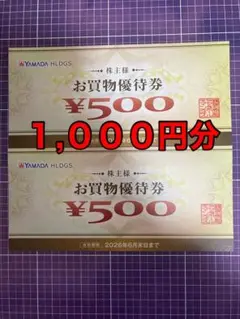 ヤマダ電機お買物優待券 1,000円分