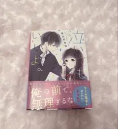 泣いてもいいよ