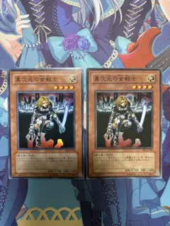 異次元の女戦士 スーパー EE1-JP189 2枚 【まとめ買い割引】のサムネイル