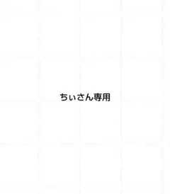 ちぃさん専用