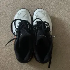 Item thumbnail for item 0e9183ce-aa90-4366-bad0-75c6348e2bcc