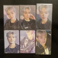 ディノ トレカ 6枚セット