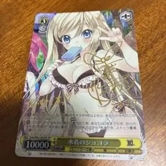 2026年最新】月雪ミヤコ（水着） ヴァイスの人気アイテム - メルカリ